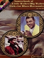 Sourcebook Of Little Walter/big Walter..