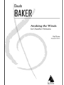 Awaking the Winds