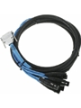 DB25-XLRF Digisnake 12'