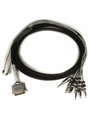 DB25 TS+4/-10 db Padded DigiSnake