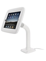 iPad Desktop Kiosk