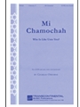 Mi Chamocha