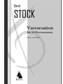 Varesesation for 13 Percussion