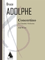 Concertino for Chamber Orchestra - Full Score