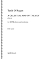 Celestial Map of the Sky
