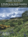 A Walk in an Irish Garden