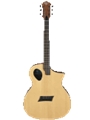 Forte Port Natural Acoustic Guitar