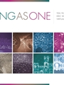 Sing As One: 10 Years of Eric Whitacre's Virtual Choir