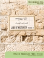 Libi B'mizrach Volume 2 - Music of Progressive Israeli T'filah Book with Audio Demos