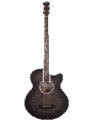 Dragonfly 4 Fretless - Acoustic Bass with Smoke Burst Finish