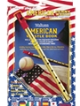 Learn  to Play the American Penny Whistle for Complete Beginners - twin pack