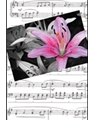 Recital Program #80 - Red & Blue Clefs