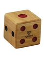 Large Dice Shaker