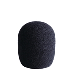 LCT 40 Ws Windscreen