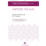 Capture The Sun