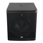 Studio/Live Subwoofer V2