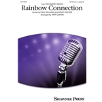 The Rainbow Connection
