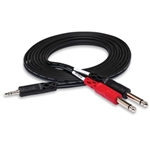Stereo Breakout, 3.5 Mm Trs To Dual 1/4 In Ts, 10 Ft