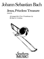 Jesus Priceless Treasure