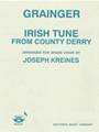 Irish Tune From County Derry