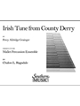 Irish Tune From County Derry