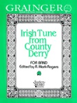 Irish Tune from County Derry