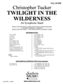 Twilight In The Wilderness
