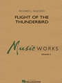 Flight Of The Thunderbird