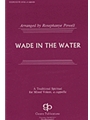 Wade In The Water