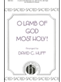 O Lamb Of God Most Holy