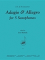 Adagio & Allegro  From Concerto #1