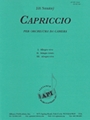 Capriccio Per Orchestra Da Camera - Set