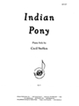 Indian Pony