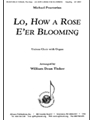 Lo How A Rose E'er Blooming