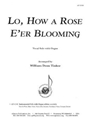 Lo, How A Rose - Br 1-org