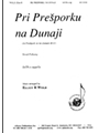 Pri Presporku Na Dunaji