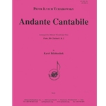 Andante Cantabile - Ww3 - Set