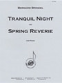 Tranquil Night And Spring Reverie - Piano