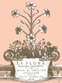 La Flora Volume 2