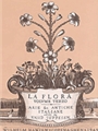 La Flora Volume 3
