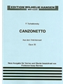 Canzonetta From Violin Concerto In D Op.35