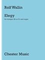 Elegy