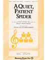Quiet Patient Spider