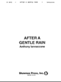 After A Gentle Rain