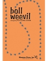 Boll Weevil