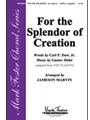 For The Splendor Of Creation