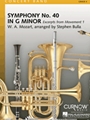 Symphony #40 In G Minor  Mvt 1 Excerpts