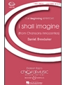 I Shall Imagine