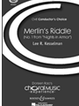 Merlin's Riddle