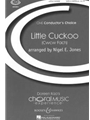 Little Cuckoo